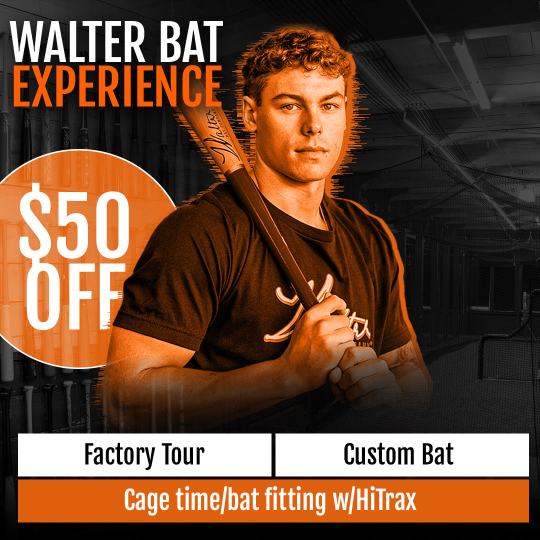 Walter Bat Experience