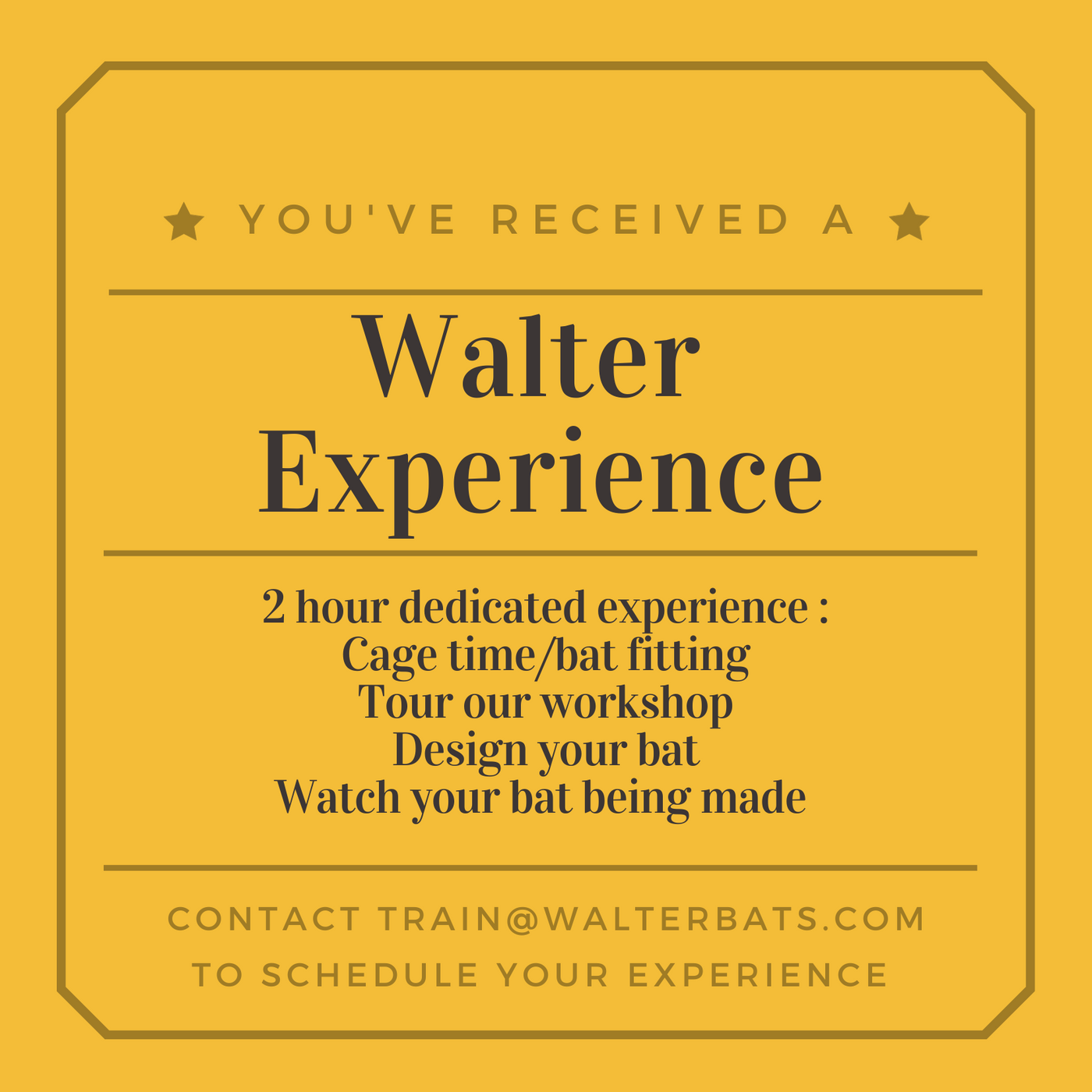 Walter Bat Experience